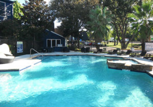The Vive Thrive FP Pool Area